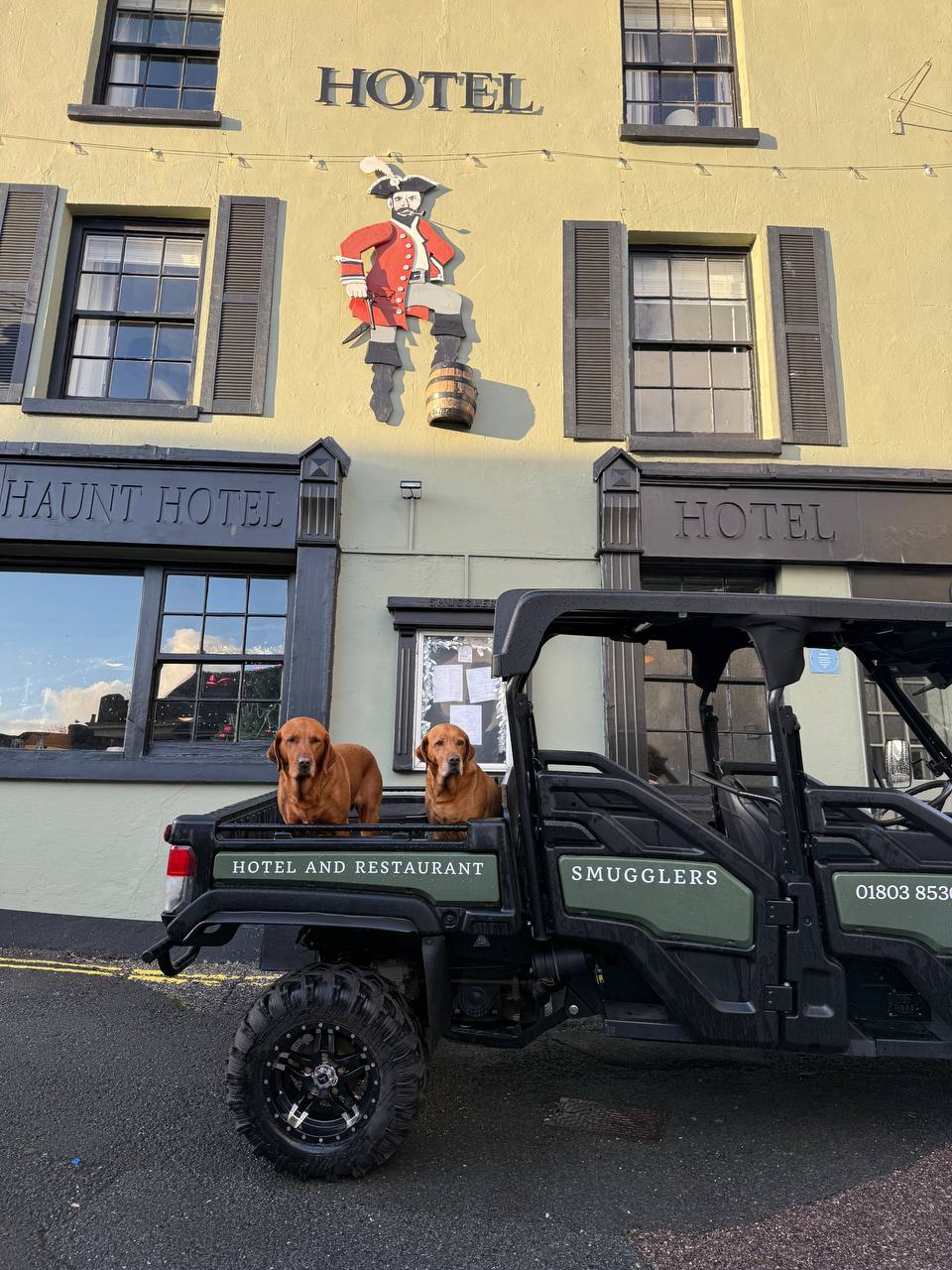 Dog-friendly stay at the Smugglers Hotel, Brixham